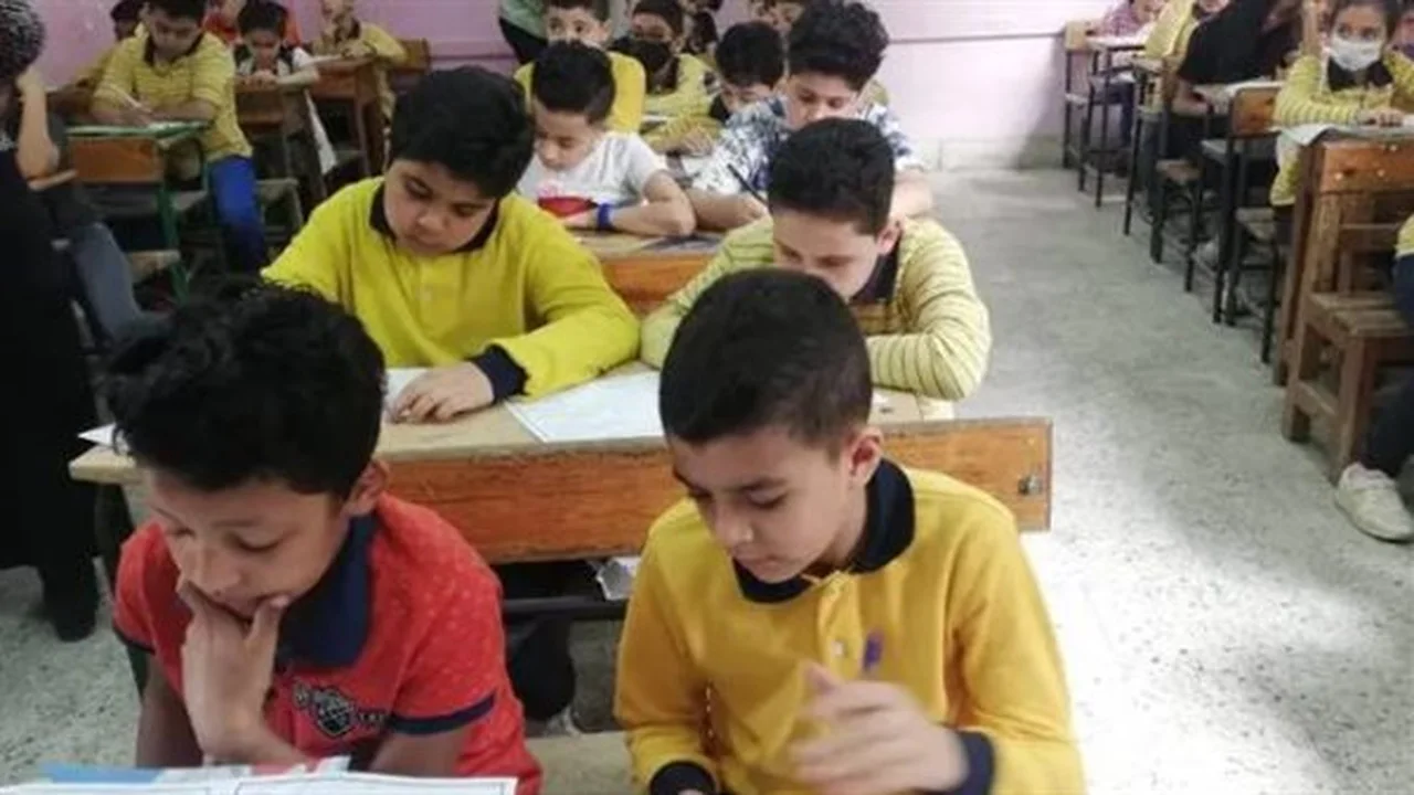 بالرقم القومي.. رابط نتيجة صفوف النقل عبر بوابة التعليم الأساسي لعام 2026